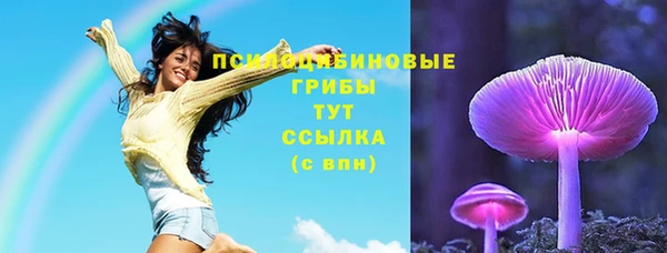 прущая мука Гусев