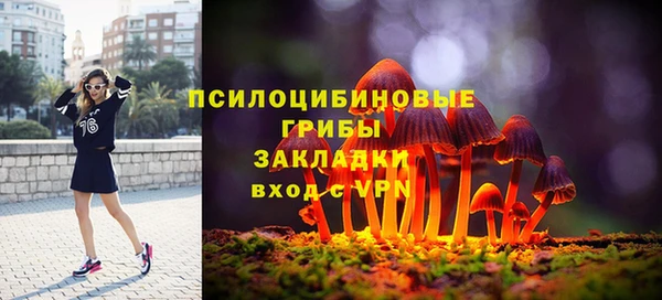прущая мука Гусев
